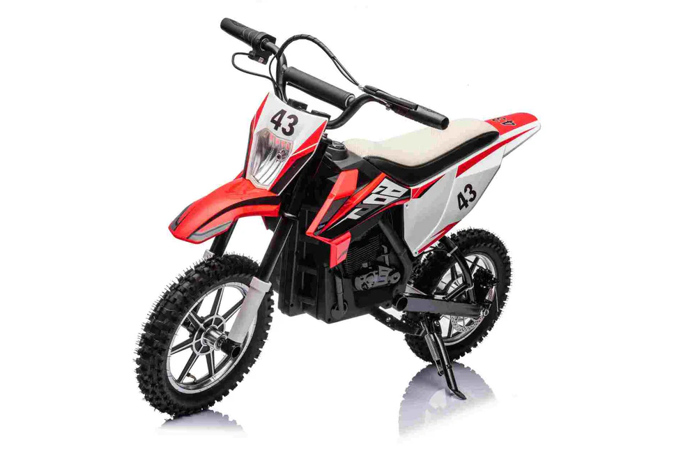 36V SCRAMBLER DIRTBIKE MOTORBIKE