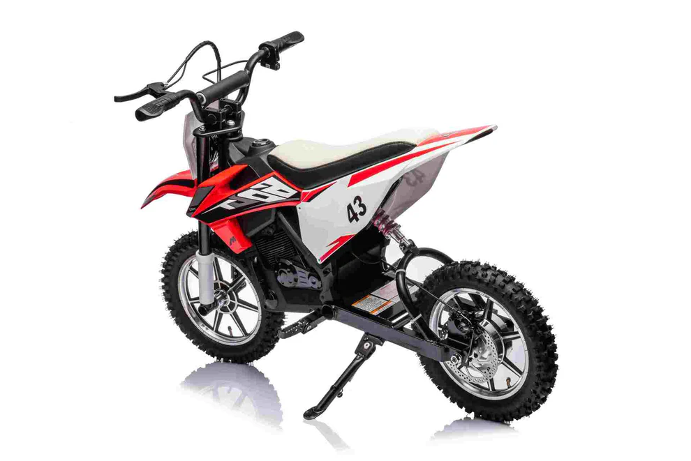 36V SCRAMBLER DIRTBIKE MOTORBIKE